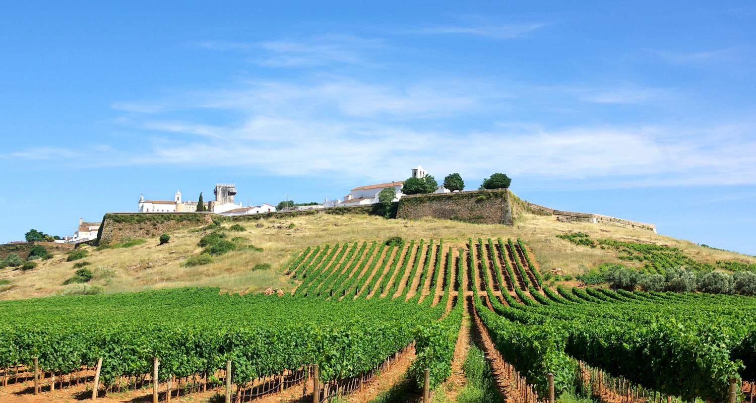 Vinícolas do Alto Alentejo: descubra o melhor do enoturismo com a Discoveries Portugal Tours